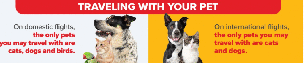 Pegasus Airlines ABQ Terminal – Albuquerque International Sunport