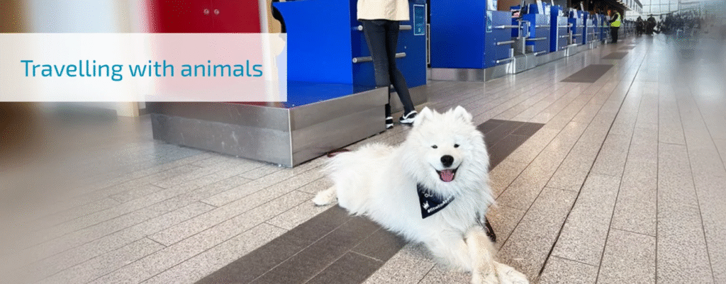 Luxair DCA Terminal – Ronald Reagan Washington National Airport